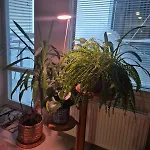 Kodikas Kaksio Keskustassa Apartamento *