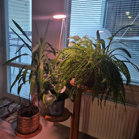 Kodikas Kaksio Keskustassa Lejlighed *