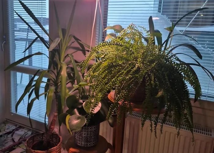 Kodikas Kaksio Keskustassa 公寓 *